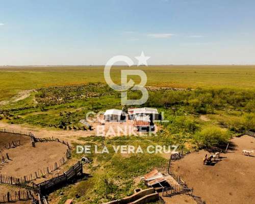 Campo Ganadero Piamonte -santa FE
