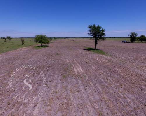 Campo Ganadero. 2.750 HA. Ambrosetti, Santa FE.