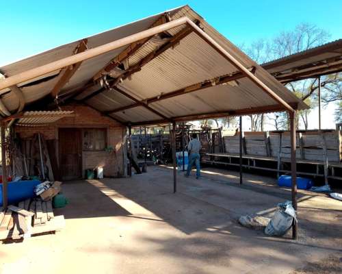 22500 Has Agro Ganaderas en Salta a Solo U$2600 X Ha