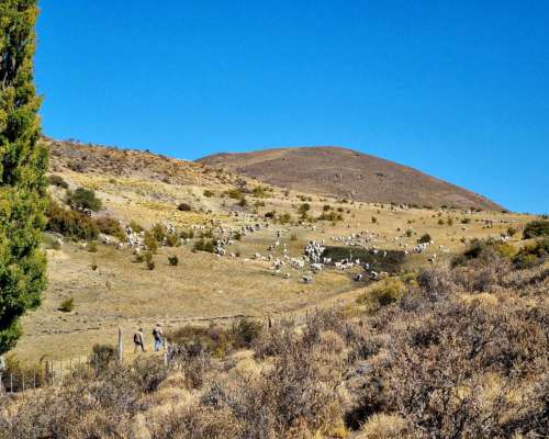 Campo Mixto en Esquel, Precordillera