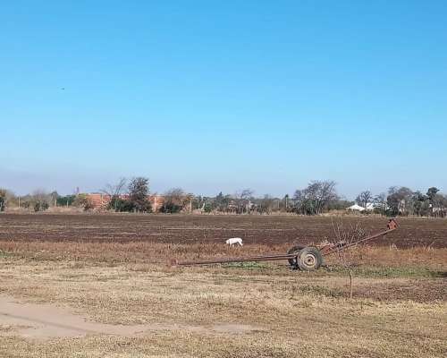 Vendo 18 Hectareas Agricolas - Ferreyra - Cordoba