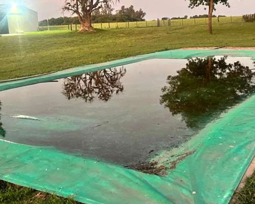 Pintoresco Campo de 70 Hectáreas Agrícolas