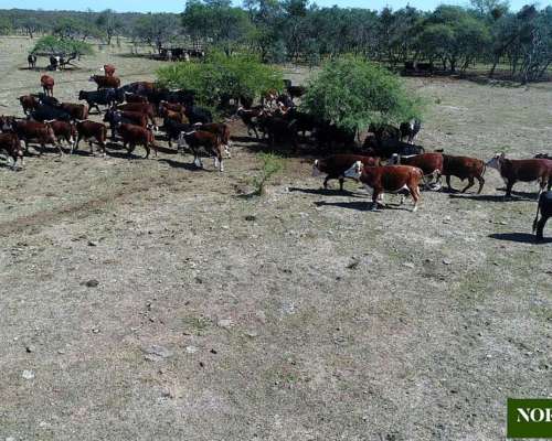 Gualeguay, Entre Ríos - 3737ha