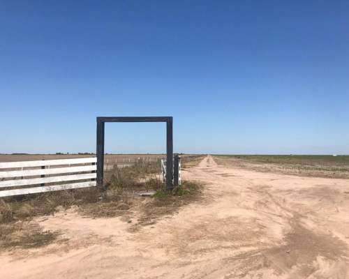 Banderas Santiago del Estero 430 Has Agricolas - Financia