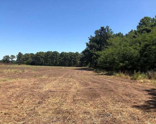 22 Ha Arboladas en Andino