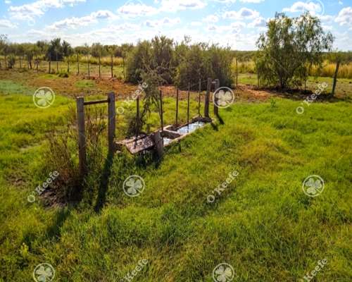 Campo en Venta de 3945 Has San Luis. Mixto