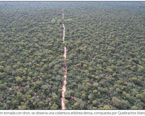 Campo – 5.119 Ha – Figueroa, Santiago del Estero 250 USD