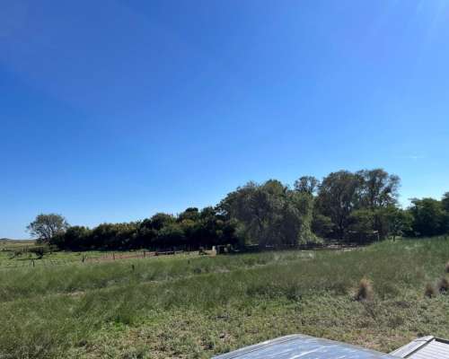 Establecimiento 2580 Ha Venta