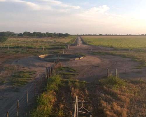Campo Mixto 1500 Has. en Obispo Trejo, Cordoba