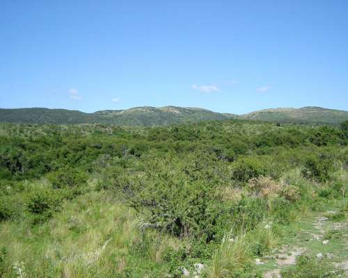 935 Hectareas en Villa Albertina