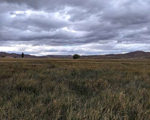 👉 “venta de Campo 2500 Has – Ñorquinco, Río Negro – con CAS