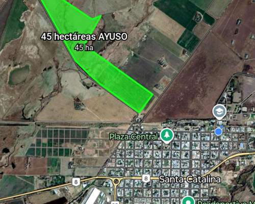 45 Hectáreas Campo Desarrollo Inmobiliario