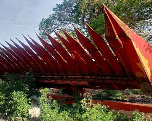 Girasolero Mainero 1040 de 10/70