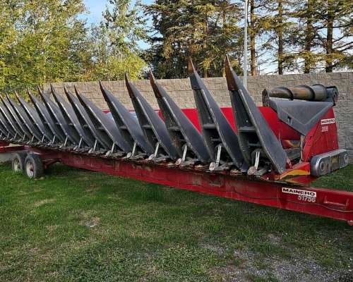 Maicero Mainero 2008 de 16 a 52