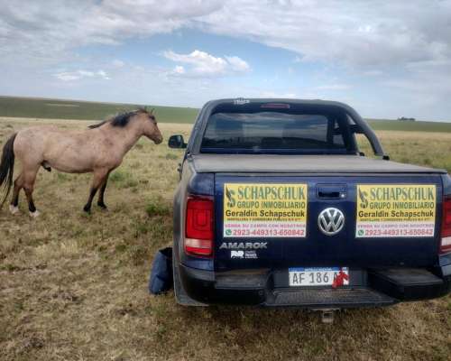 Venta 200ha en Rivera Provincia de Buenos Aires