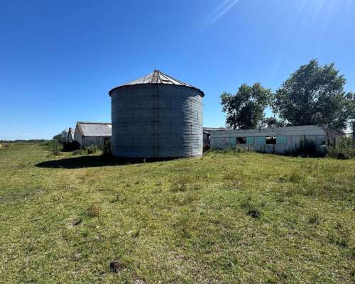 Campo Mixto de 250 Hectáreas