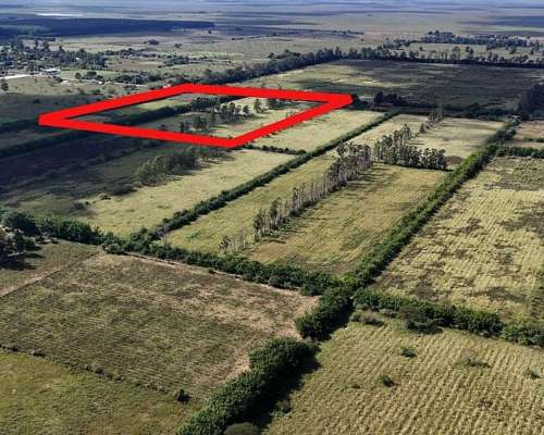 Colonia Pando, San Roque, Corrientes - 12 Ha