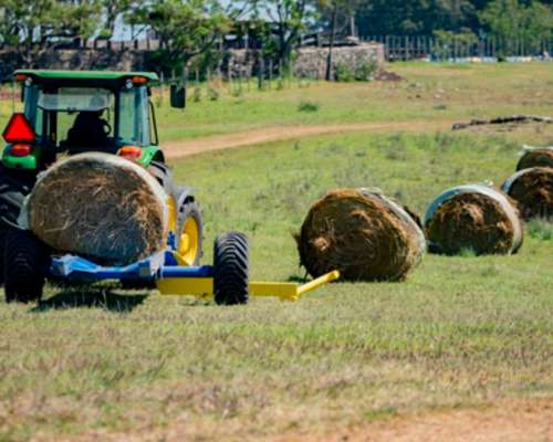 Carro Cargador y Transportador de Fardos.(j.hartwich)
