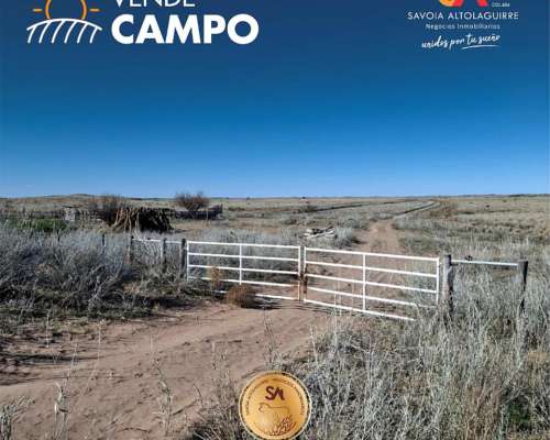 Vende: Campo Ganadero de 4.995 Hectáreas en Limay Mahuida