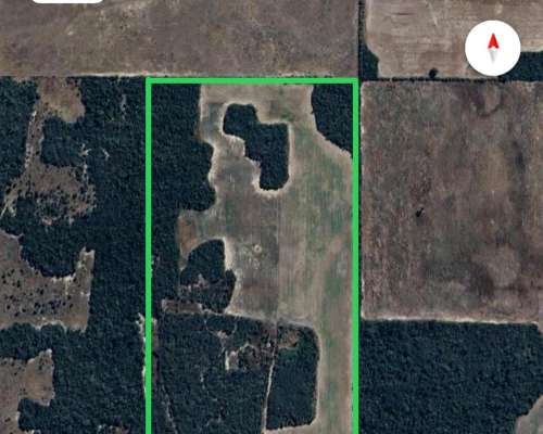 Lote de 50 Ha en Villa Ángela