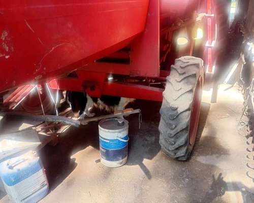 Vassalli 900 Lider Impecable