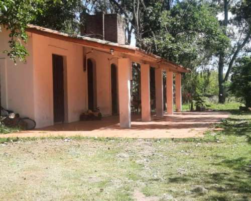 Campo 49 Ha - Fatima - Pilar
