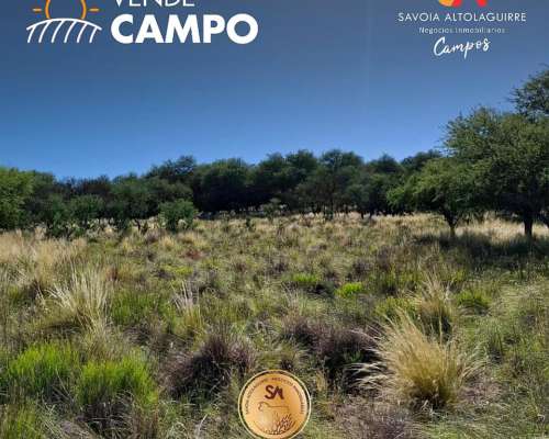 Vende: Campo Ganadero de 1.650 Hectáreas. Carro Quemado