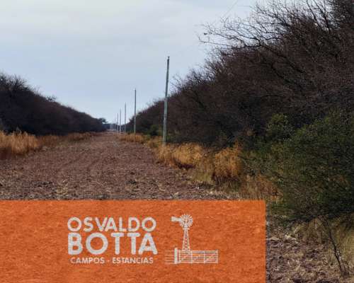 Campo Ganadero – 6.200has – Rucanelo, la Pampa