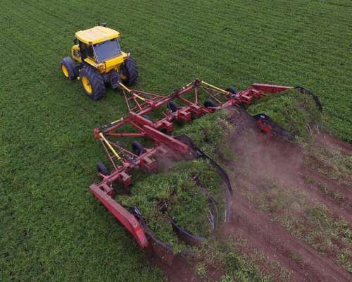 250 Has en Monte Ralo Cordoba