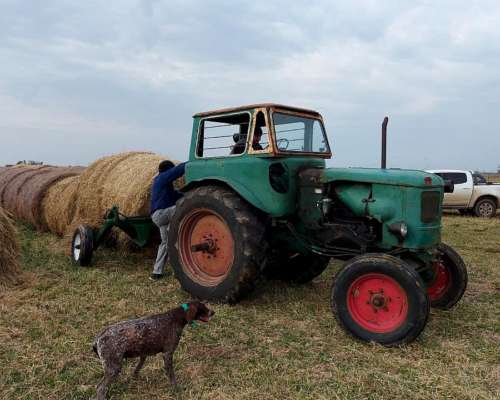 Tractor Deutz 55 Traccion S