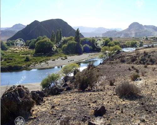 Campo en Venta 9000 Has en Esquel, Chubut. Ganadero.