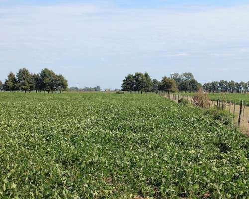 Ba2964 Torres Lujan Buenos Aires