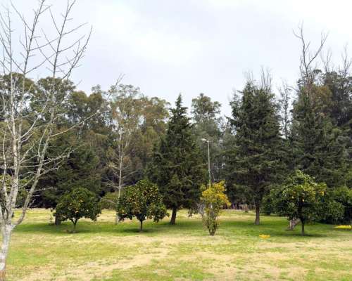 General Mansilla, Magdalena, Buenos Aires - 78 Ha