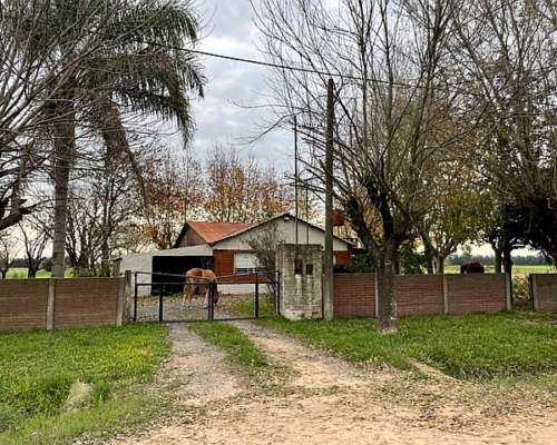 Chacra Sobre Ruta con Mejoras