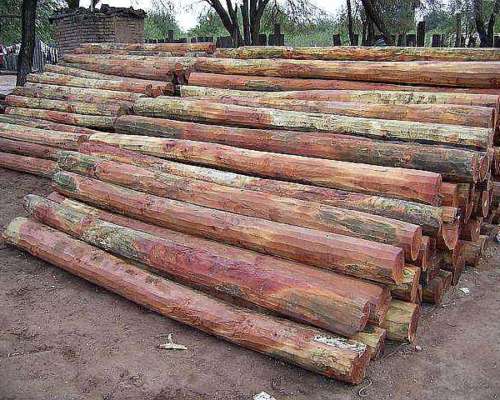 Postes, Varillas, Alambres y Tranqueras