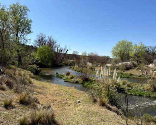 Campo en Venta - Renca/tilisarao (san Luis)