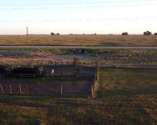 Campo en Venta en Punta Indio - 93 Hectáreas Sobre Ruta