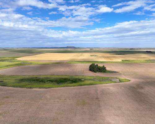 Pcia. de Cordoba - Sampacho 601 Has