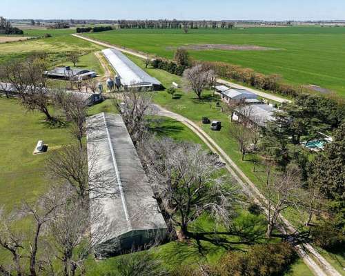 Granja Avícola de Engorde de Pollos. (financiación/permuta)