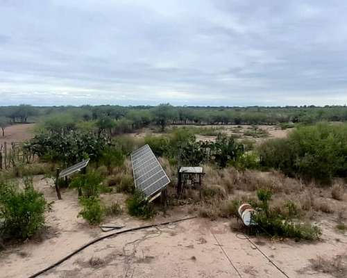 Vende Excelente Campo Ganadero
