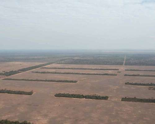 Pcia. de Santiago del Estero - el Cabure 1675 Has