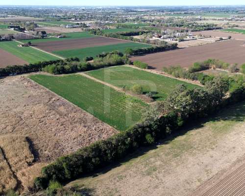 Lote 20.000 M2 en Zona Sur, Córdoba