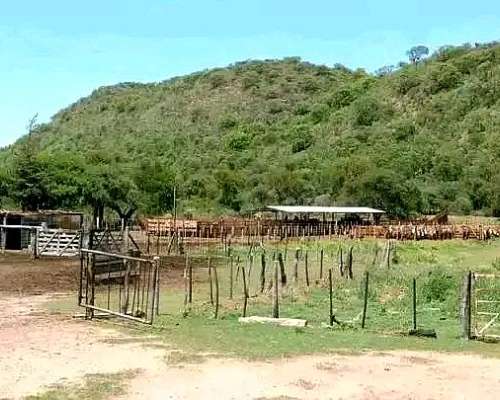 Campo Ganadero Dean Funes