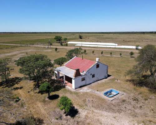 Ganadero 3220 Ha - ( 420 Agrícolas ) Reconquista - Sta. FE