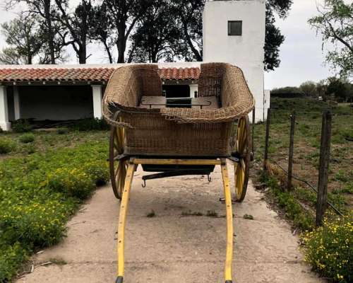 Carro Caballo Sulky Canastita