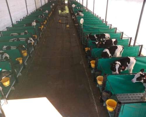 Guacheras Comunitarias, Estructura Metalica