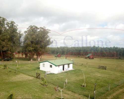 Excelente Campo 13 Has con Cabañas en Maldonado, Uruguay