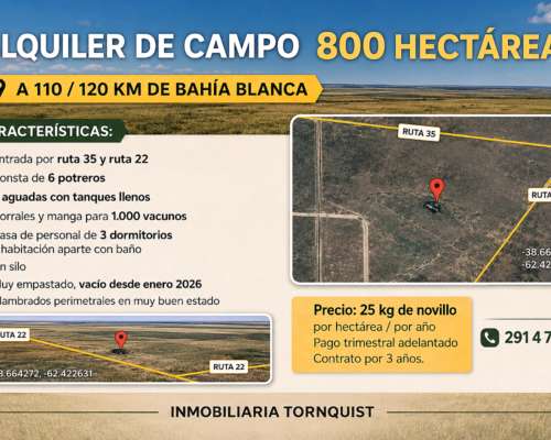 Alquilo 800 Has Ganaderas a 25kg al SUR de Puan