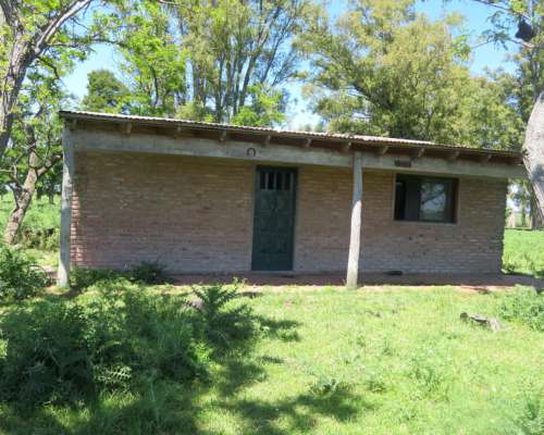 Paraje Oliden - 220 Ha - Buenos Aires