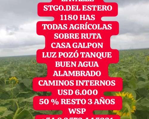 1180has Lavalle Stgo. Argentina